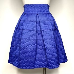 Francesca’s Pleated Full Skirt
